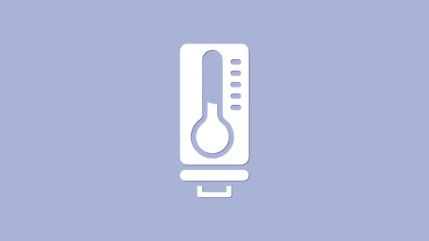 Biały termometr meteorologiczny mierzący ciepło i zimną ikonę izolowany na fioletowym tle. Urządzenia termometryczne pokazujące gorącą lub zimną pogodę. 4K Animacja graficzna ruchu wideo — Wideo stockowe