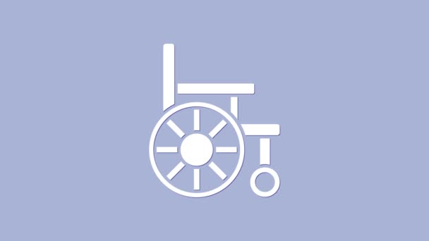 Mor arka planda izole edilmiş engelli kişi simgesi için beyaz tekerlekli sandalye. 4K Video hareketli grafik canlandırması — Stok video