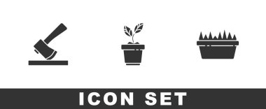 Tahta baltayı, saksıya bitki ve taze çimen dikdörtgen simgesini yerleştir. Vektör.