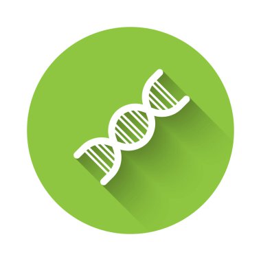Beyaz DNA sembolü uzun gölgeli izole edilmiş. Yeşil daire düğmesi. Vektör.