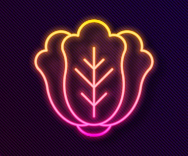Parlayan neon hattı taze lahana sebze ikonu siyah arka planda izole edilmiş. Vektör.