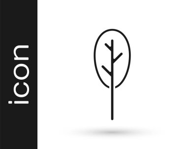 Beyaz arkaplanda siyah ıspanak simgesi izole edildi. Vektör.