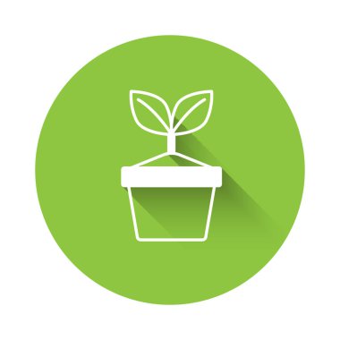 Esrar ikonundaki beyaz bitki uzun gölgeyle izole edilmiş. Tencerede yetişen bir bitki. Saksı bitkisi işareti. Yeşil daire düğmesi. Vektör.