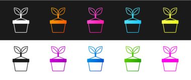 Bitkiyi siyah beyaz arkaplanda izole edilmiş bir çömlek simgesine yerleştir. Tencerede yetişen bir bitki. Saksı bitkisi işareti. Vektör.