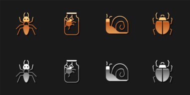 Karınca, Örümcek kavanozda, Salyangoz ve Mite ikonu. Vektör.