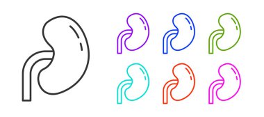 Siyah çizgi insan böbreği ikonu beyaz arka planda izole edilmiş. Simgeleri renklendirin. Vektör.