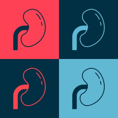 Pop Art Human böbrek ikonu renk arkaplanında izole edilmiş. Vektör.