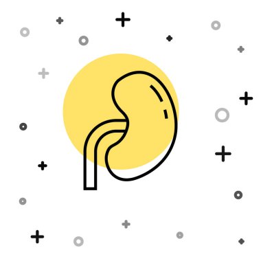 Siyah çizgi insan böbreği ikonu beyaz arka planda izole edilmiş. Rastgele dinamik şekiller. Vektör.