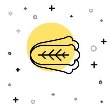 Siyah çizgi taze lahana sebze ikonu beyaz arka planda izole edilmiş. Rastgele dinamik şekiller. Vektör