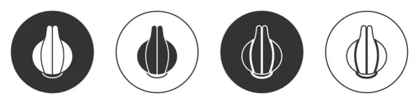 Icône Oignon Noir Isolé Sur Fond Blanc Cercle Bouton Vecteur — Image vectorielle