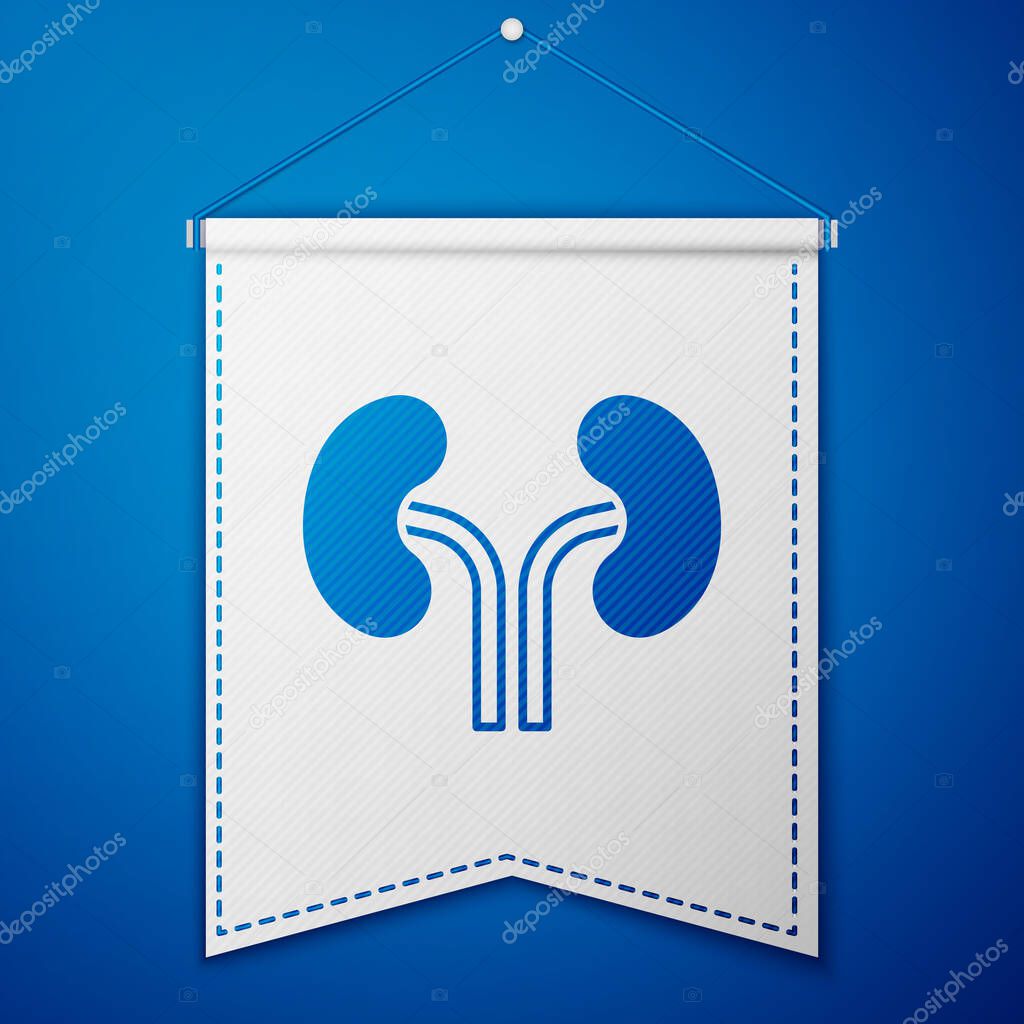 Blue Human kidneys icon isolated on blue background. White pennant template. Vector.