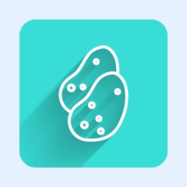 Beyaz çizgi Patates ikonu uzun gölgeli. Yeşil kare düğmesi. Vektör.