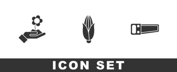 Set Mano Sosteniendo Flor Maíz Sierra Icono Vector — Archivo Imágenes Vectoriales