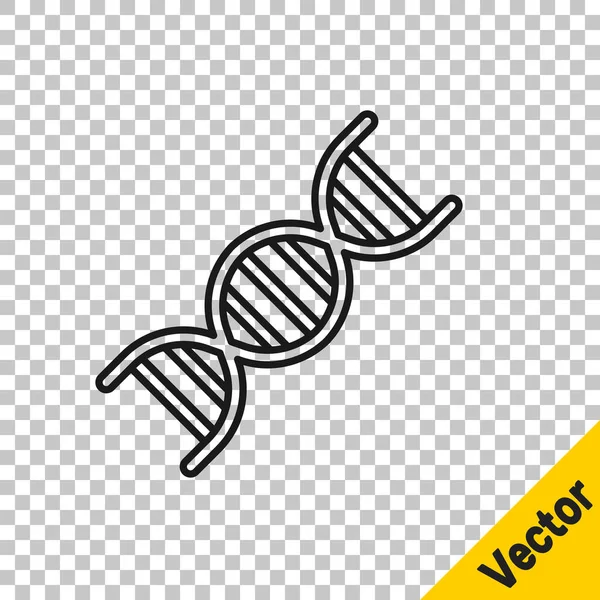 Black Line Dna Symbol Icon Isolated Transparent Background Vector — Stock Vector