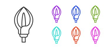 Beyaz arkaplanda siyah çizgi Lily çiçek ikonu izole edildi. Simgeleri renklendirin. Vektör.