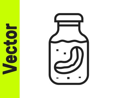 Beyaz arka planda izole edilmiş kavanozdaki siyah çizgi deniz hıyarı. Deniz yemeği. Vektör.