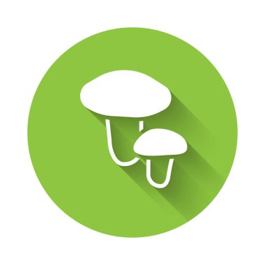 Uzun gölgeli beyaz mantar ikonu. Yeşil daire düğmesi. Vektör.