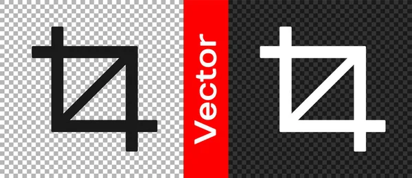 Прозрачном Фоне Выделена Иконка Черная Фотография Вектор — стоковый вектор