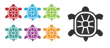 Siyah kaplumbağa simgesi beyaz arkaplanda izole edilmiş. Simgeleri renklendirin. Vektör.