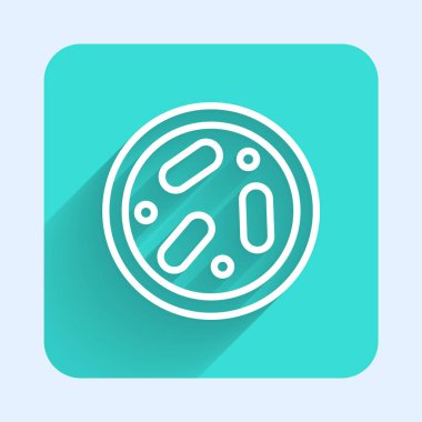 Uzun gölgeli, bakteri ikonlu beyaz çizgi Petri kabı. Yeşil kare düğmesi. Vektör.