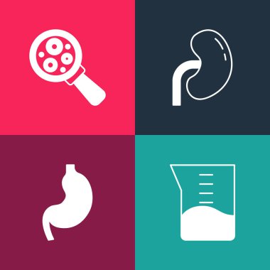 Pop Sanat Laboratuvarı cam ya da deney tüpü, insan midesi, böbreği ve mikroorganizmaları büyüteç simgesine yerleştir. Vektör