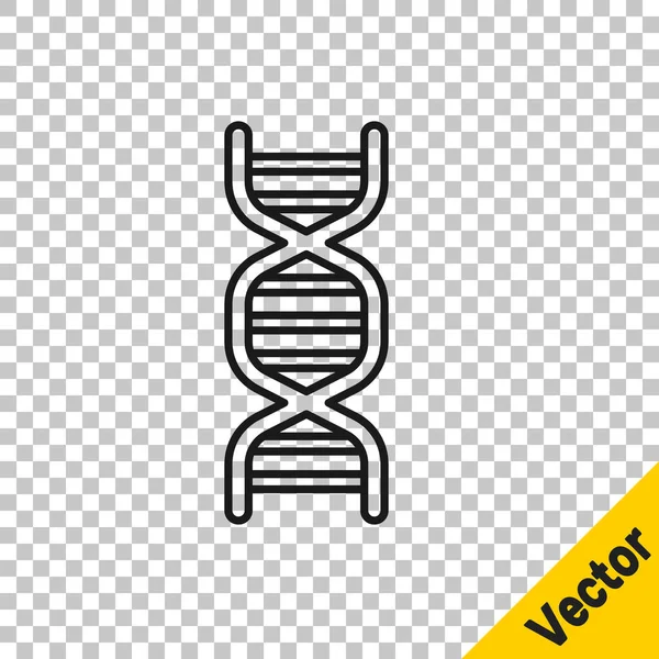 Black Line Dna Symbol Icon Isolated Transparent Background Vector — Stock Vector