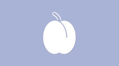 Beyaz Erik meyvesi ikonu mor arkaplanda izole edilmiş. 4K Video hareketli grafik canlandırması