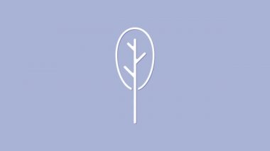 Beyaz ıspanak simgesi mor arkaplanda izole edilmiş. 4K Video hareketli grafik canlandırması