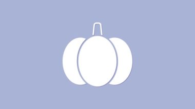 Beyaz Balkabağı simgesi mor arkaplanda izole edilmiş. Mutlu Cadılar Bayramı Partisi. 4K Video hareketli grafik canlandırması