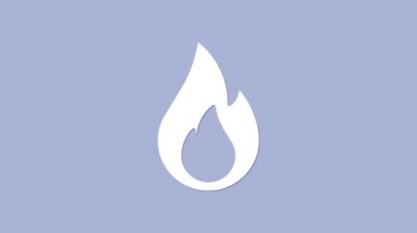 Beyaz Ateş alev simgesi mor arkaplanda izole edilmiş. 4K Video hareketli grafik canlandırması