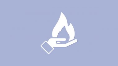 Beyaz El, mor arka planda izole edilmiş bir ateş ikonu tutuyor. Sigorta konsepti. Güvenlik, güvenlik, koruma, konsept koruma. 4K Video hareketli grafik canlandırması