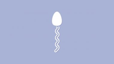 Mor arkaplanda beyaz sperm simgesi izole edilmiş. 4K Video hareketli grafik canlandırması