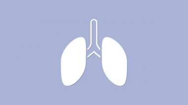 Beyaz akciğerler simgesi mor arkaplanda izole edilmiş. 4K Video hareketli grafik canlandırması