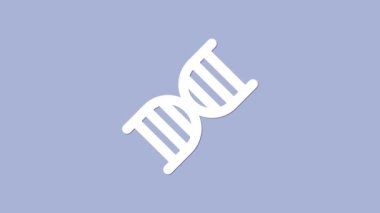 Mor arkaplanda izole edilmiş beyaz DNA sembolü. 4K Video hareketli grafik canlandırması