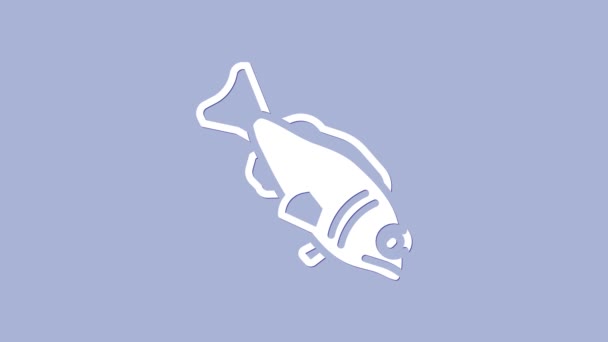 Icono de pescado blanco aislado sobre fondo púrpura. Animación gráfica de vídeo 4K — Vídeo de stock