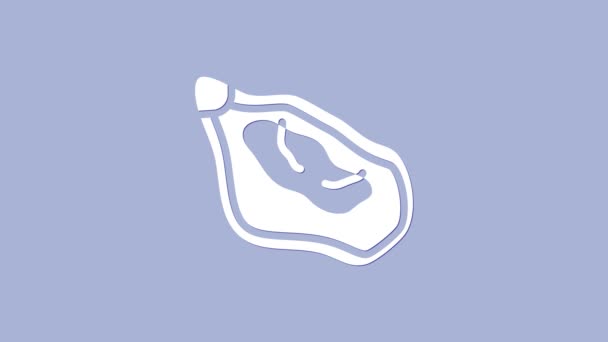 Ikona białego małża odizolowana na fioletowym tle. Świeże pyszne owoce morza. 4K Animacja graficzna ruchu wideo — Wideo stockowe