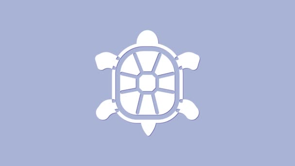 Weiße Schildkröte Symbol isoliert auf lila Hintergrund. 4K Video Motion Grafik Animation — Stockvideo