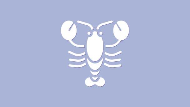 Biała ikona homara odizolowana na fioletowym tle. 4K Animacja graficzna ruchu wideo — Wideo stockowe