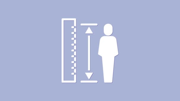 Bílá Měření výšky těla ikona izolované na fialovém pozadí. Grafická animace pohybu videa 4K — Stock video