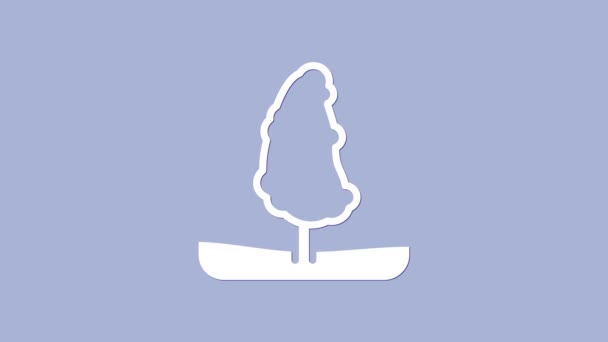 Beyaz Ağaç simgesi mor arkaplanda izole edilmiş. Orman sembolü. 4K Video hareketli grafik canlandırması — Stok video