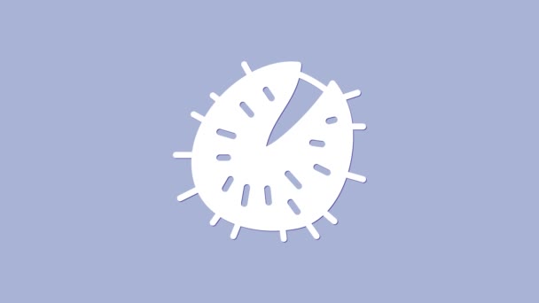 Icono de castaño blanco aislado sobre fondo púrpura. Púas y castañas fuertes. Animación gráfica de vídeo 4K — Vídeos de Stock