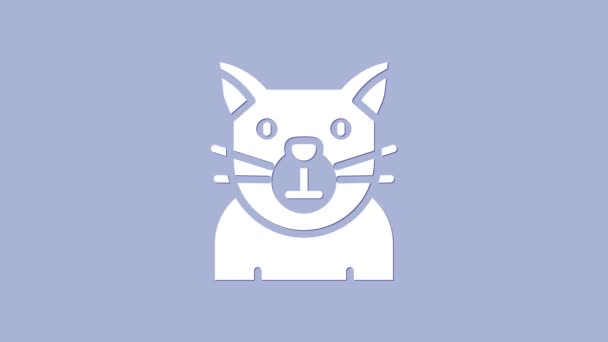 Иконка White Cat выделена на фиолетовом фоне. Символ животного. Счастливого Хэллоуина. Видеографическая анимация 4K — стоковое видео