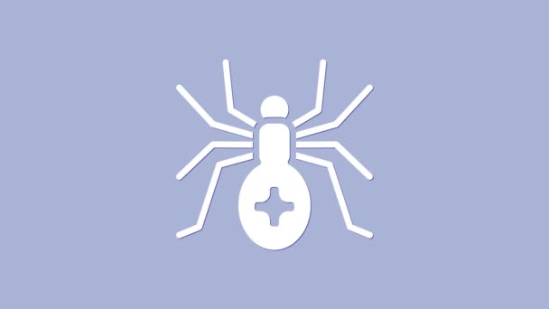 White Spider icon isolated on purple background. Happy Halloween party. 4K Video motion graphic animation — Stock Video