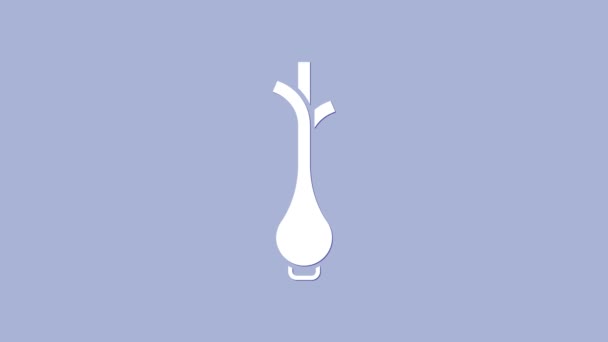 Manojo blanco de cebollas verdes frescas icono aislado sobre fondo púrpura. Animación gráfica de vídeo 4K — Vídeo de stock