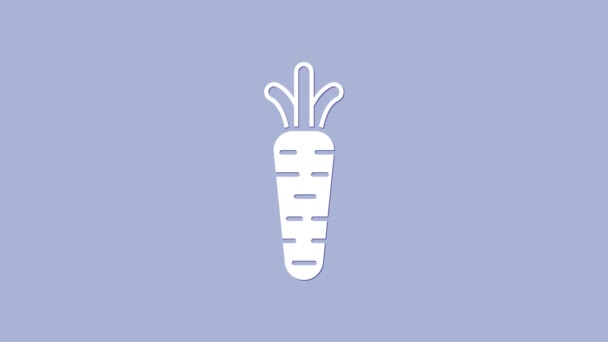 White Carrot Symbol isoliert auf lila Hintergrund. 4K Video Motion Grafik Animation — Stockvideo