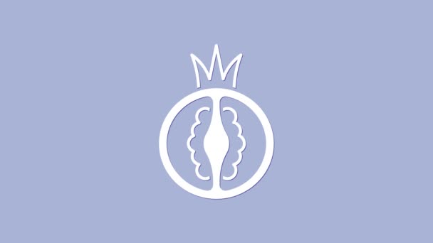 Icono de tomate blanco aislado sobre fondo púrpura. Animación gráfica de vídeo 4K — Vídeos de Stock