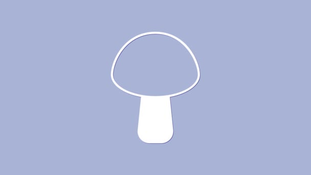 White Mushroom icon isolated on purple background. 4K Video motion graphic animation — Stock Video