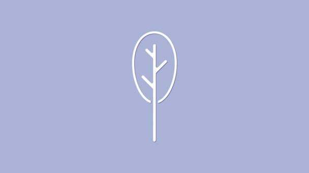 Icono de espinaca blanca aislado sobre fondo púrpura. Animación gráfica de vídeo 4K — Vídeo de stock