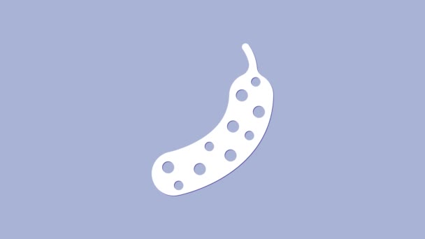 White Fresh cucumber icon isolated on purple background. 4K Video motion graphic animation — Stock Video