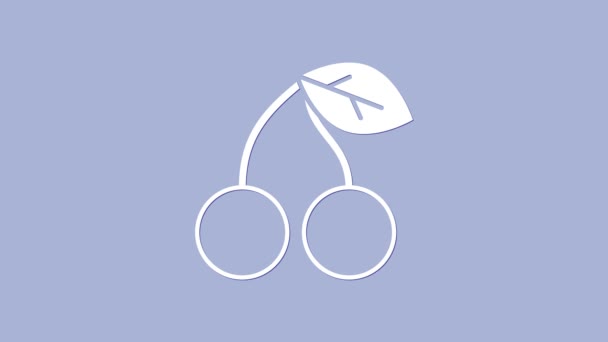 Ícone de cereja branca isolado no fundo roxo. Fruta com símbolo de folha. Animação gráfica em movimento de vídeo 4K — Vídeo de Stock